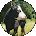 Stacy Donaldson Avatar