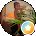 Taylor Collins Avatar