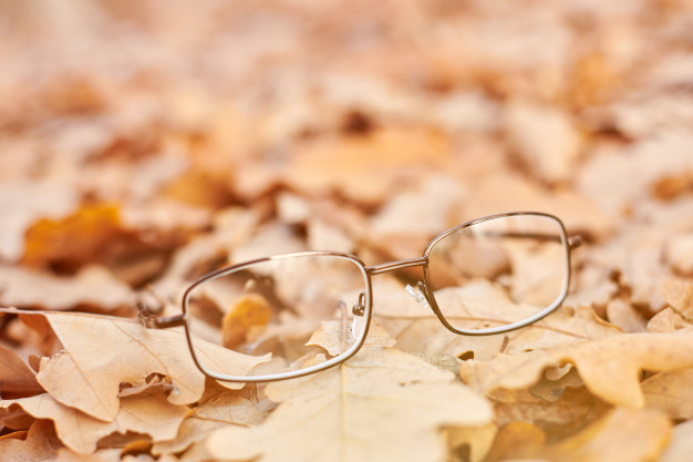 Deterioration of vision causes a decrease in cognitive functions